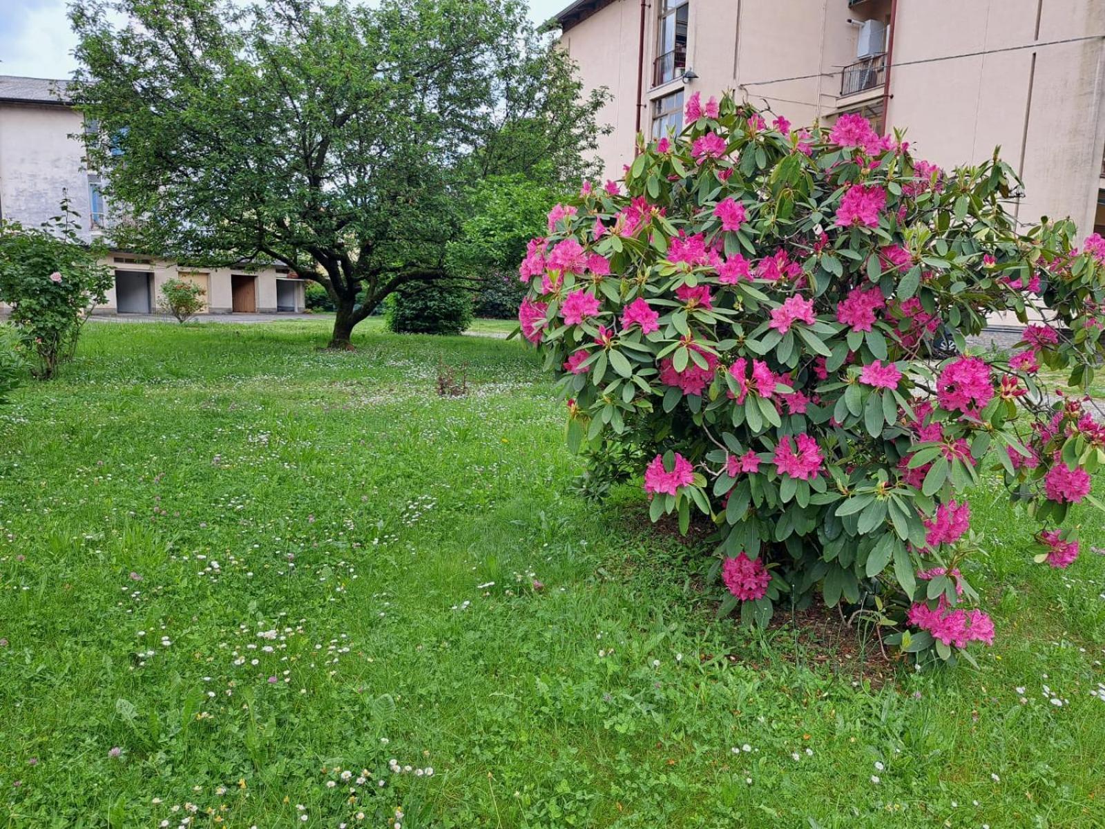 Seraval Valsesia Apartment Serravalle Sesia Exteriör bild